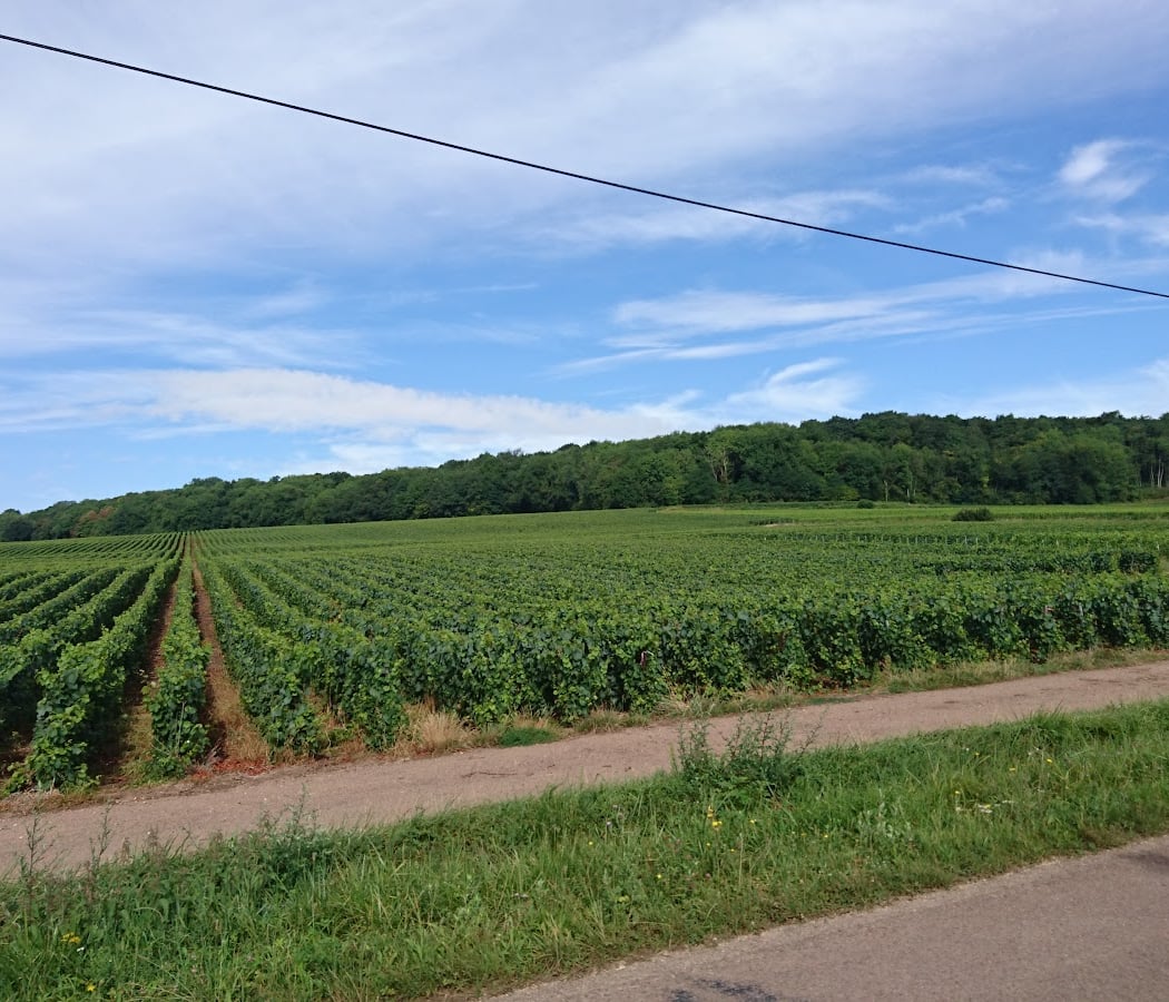 Villenauxe-la-Grande 1
