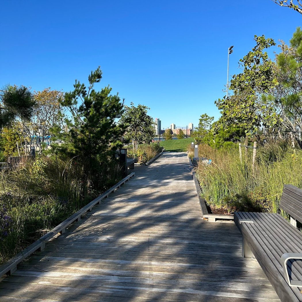 Nature Walks and Shoreline Strolls 1