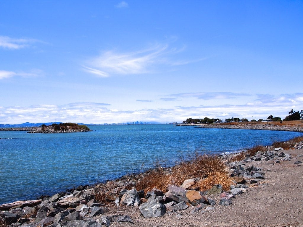 Marina Park 1