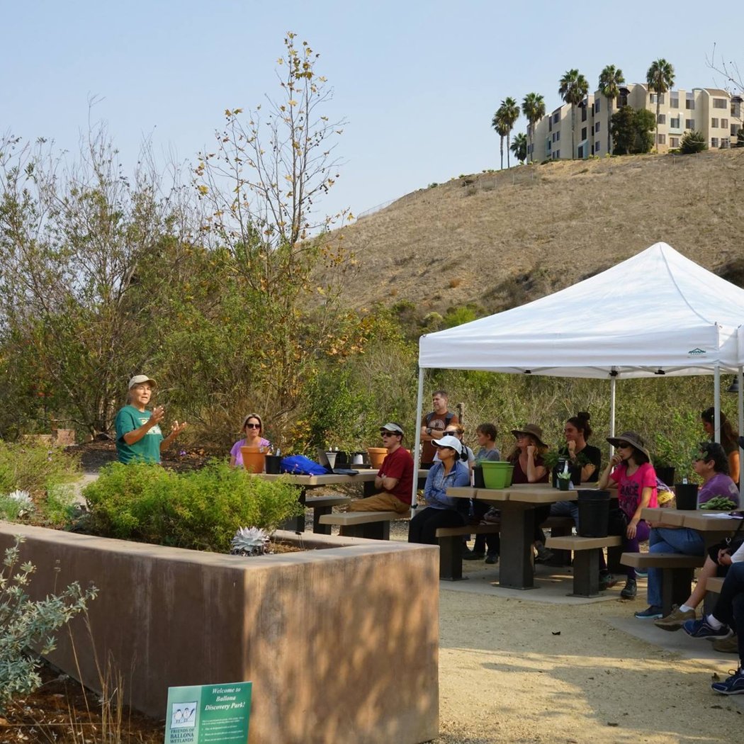Grow Native! Gardening Club 3