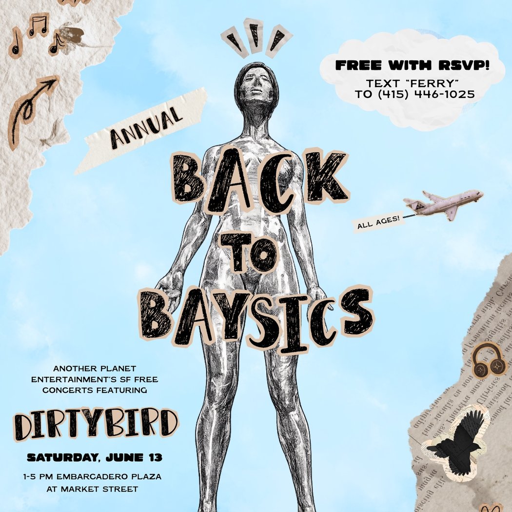 Dirtybird: Back to Baysics