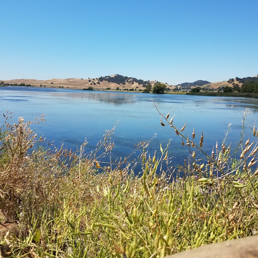 Loop The Lagoon 2026 3