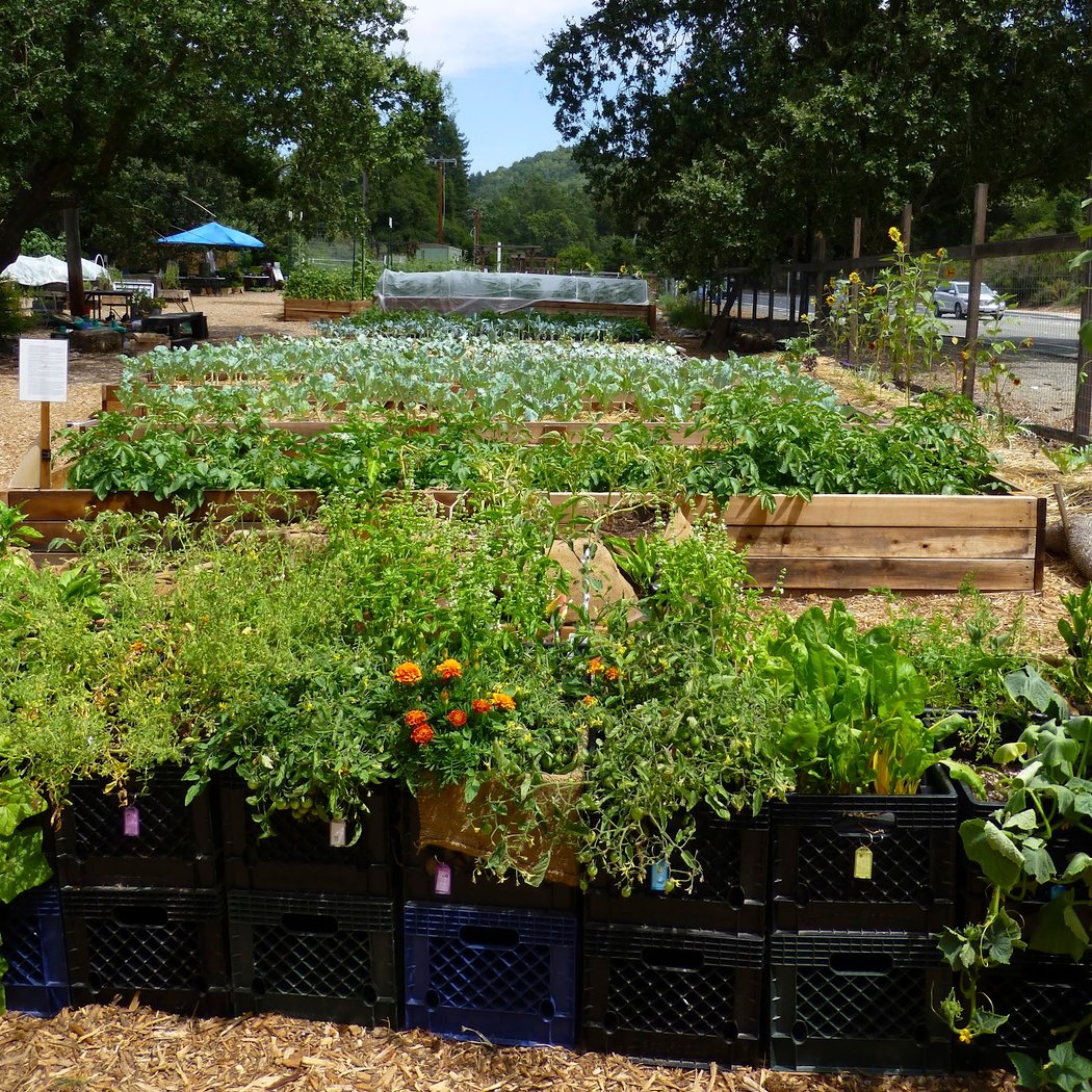 Lafayette Community Garden and Outdoor Learning Center 1