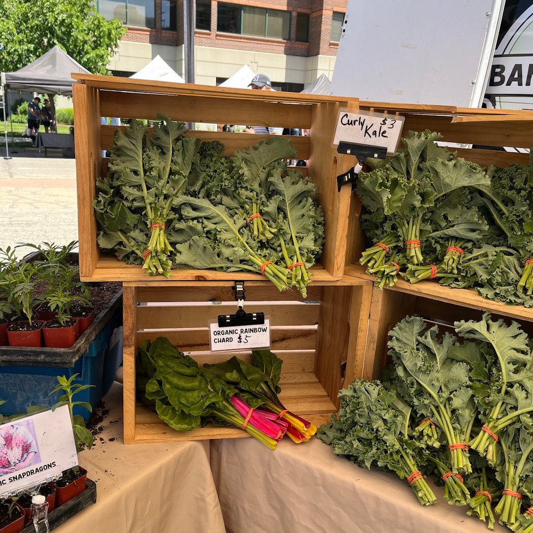 Saturday Farmers Market at Maple Avenue 1