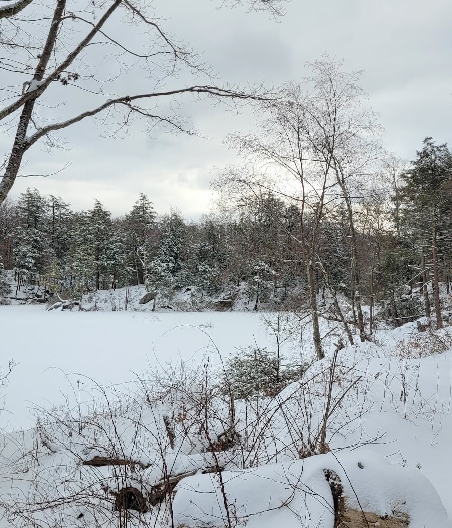 Pelton Pond 3
