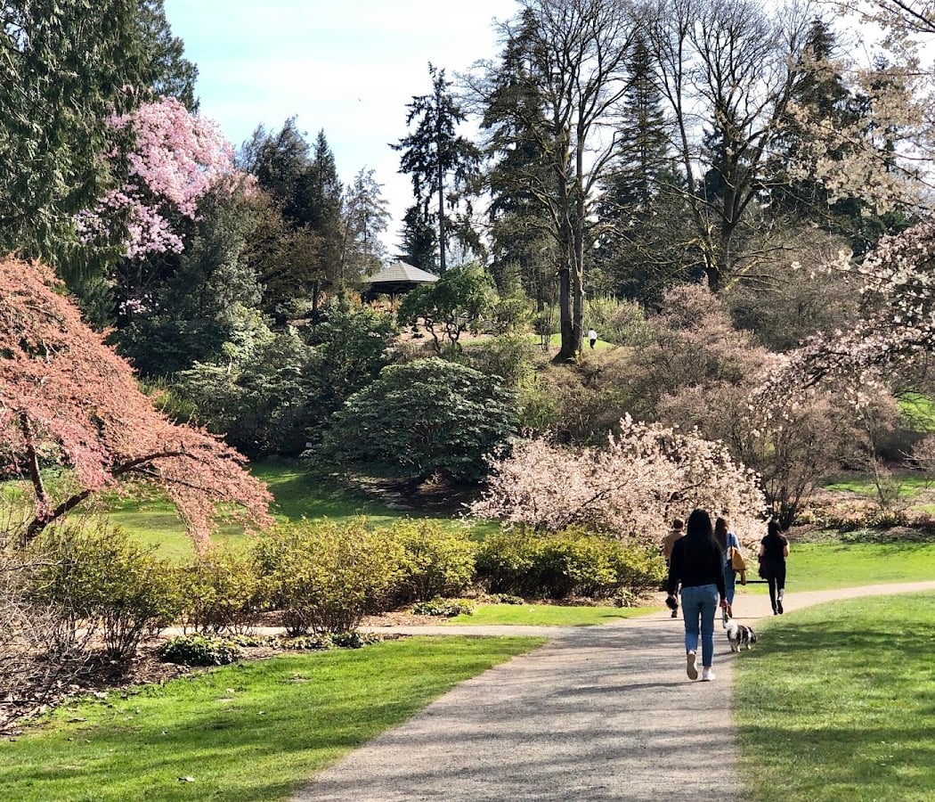 Washington Park Arboretum 3