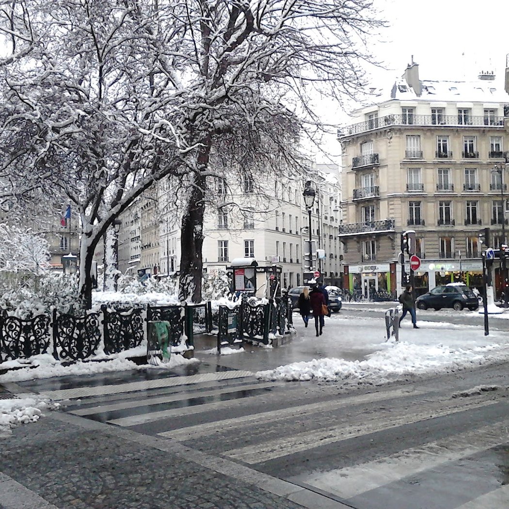 Jardin ouvert la nuit 1