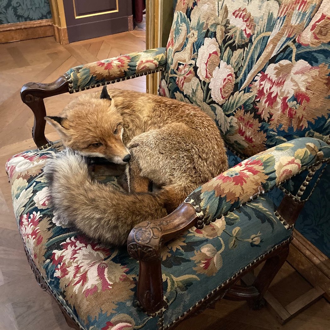 Premier dimanche du mois - Musée de la Chasse et de la Nature 1