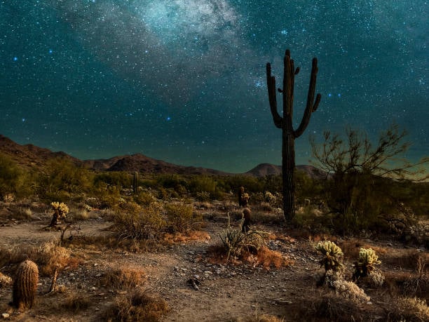 Taste the Desert 3