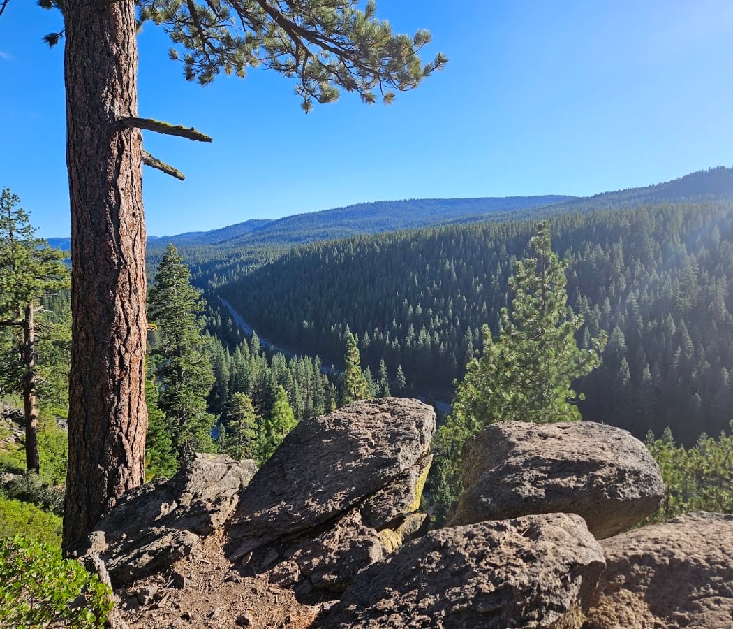 Great Trail Race 2