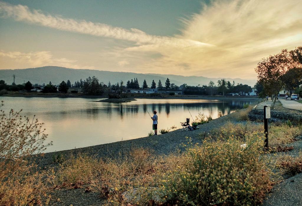 Los Gatos Creek Trail 2