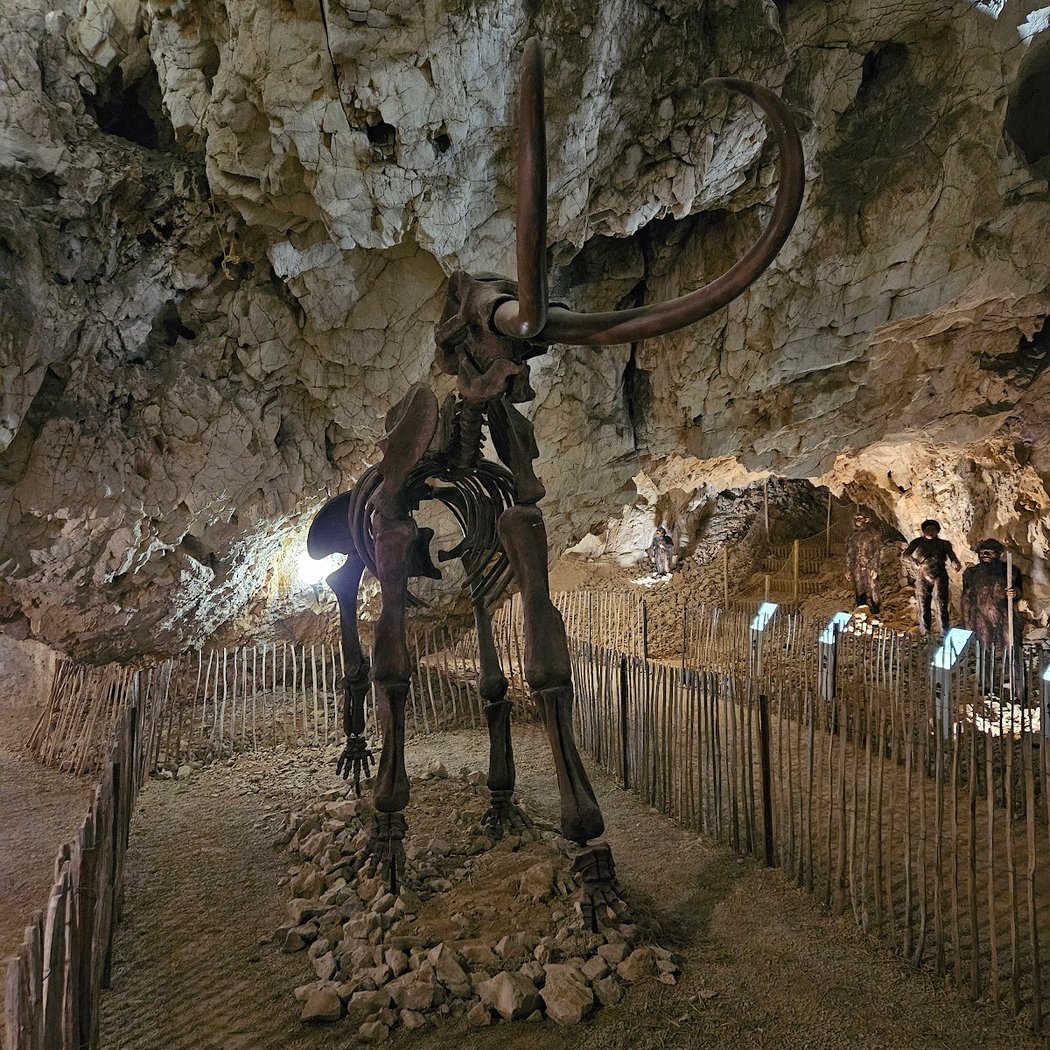 Dinopedia Expérience - Cova Bastera 3