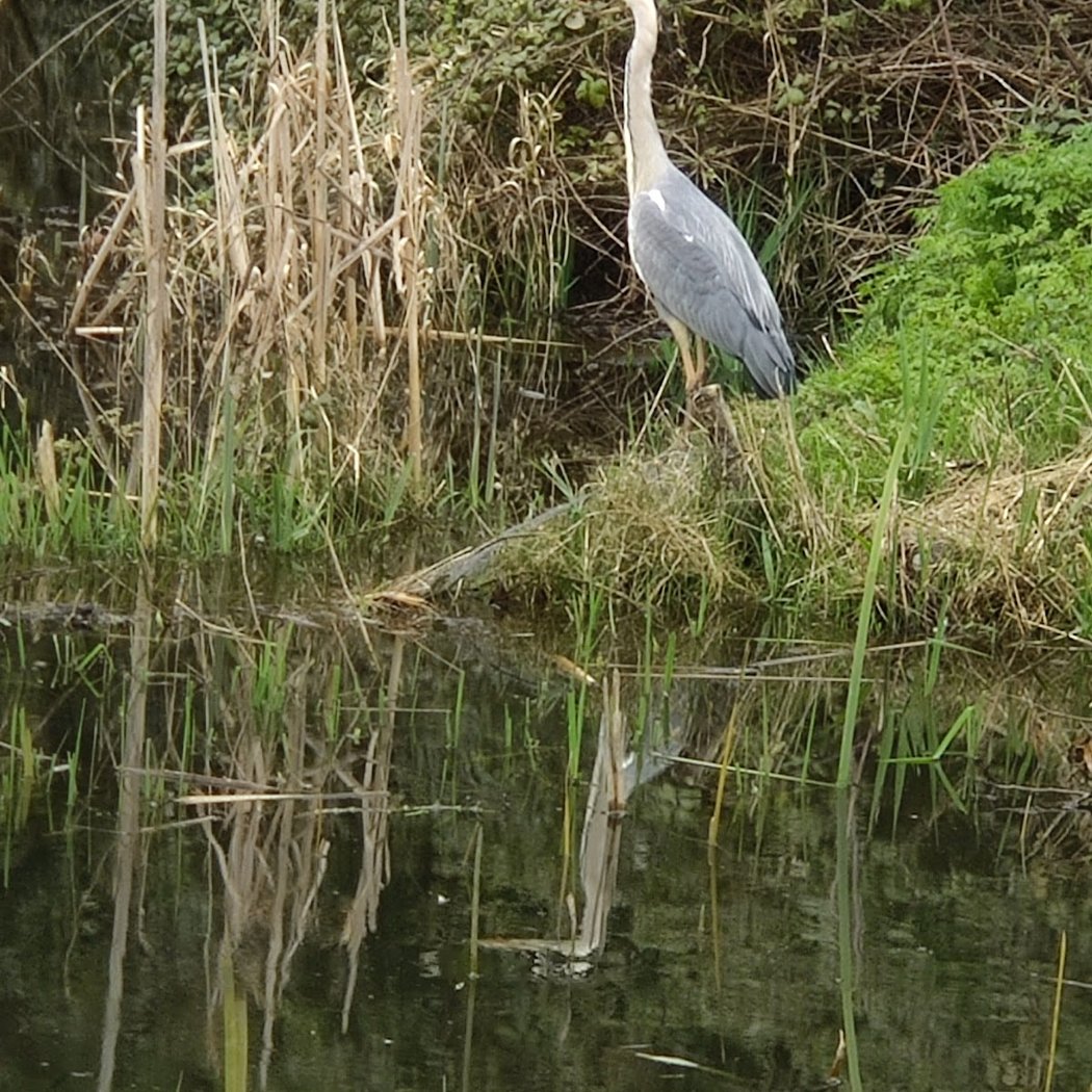 Parc Potager de la Crapaudine 1