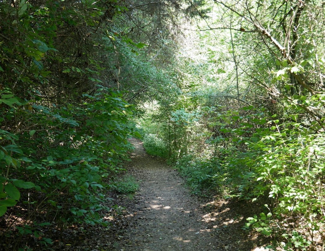 Sunnyside Trailhead 2