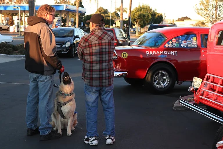Furry Friends & Fast Rides 3