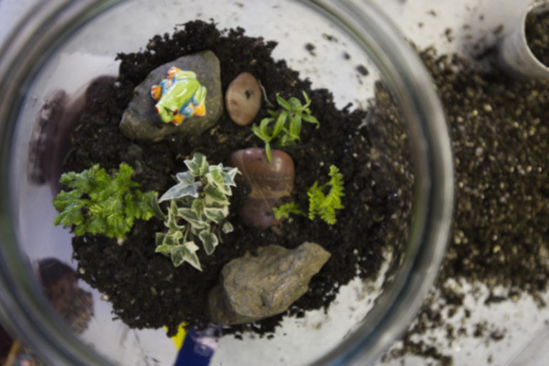Family Art Project: Tiny Terrariums 1