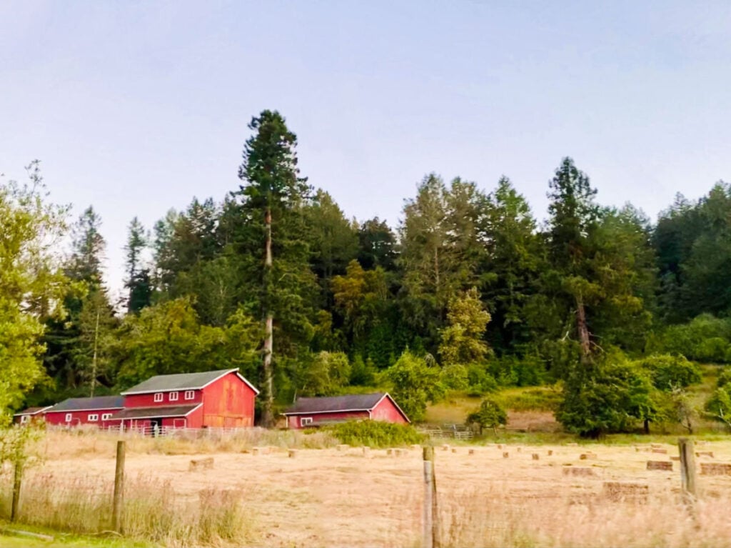 Farm to Pantry 2