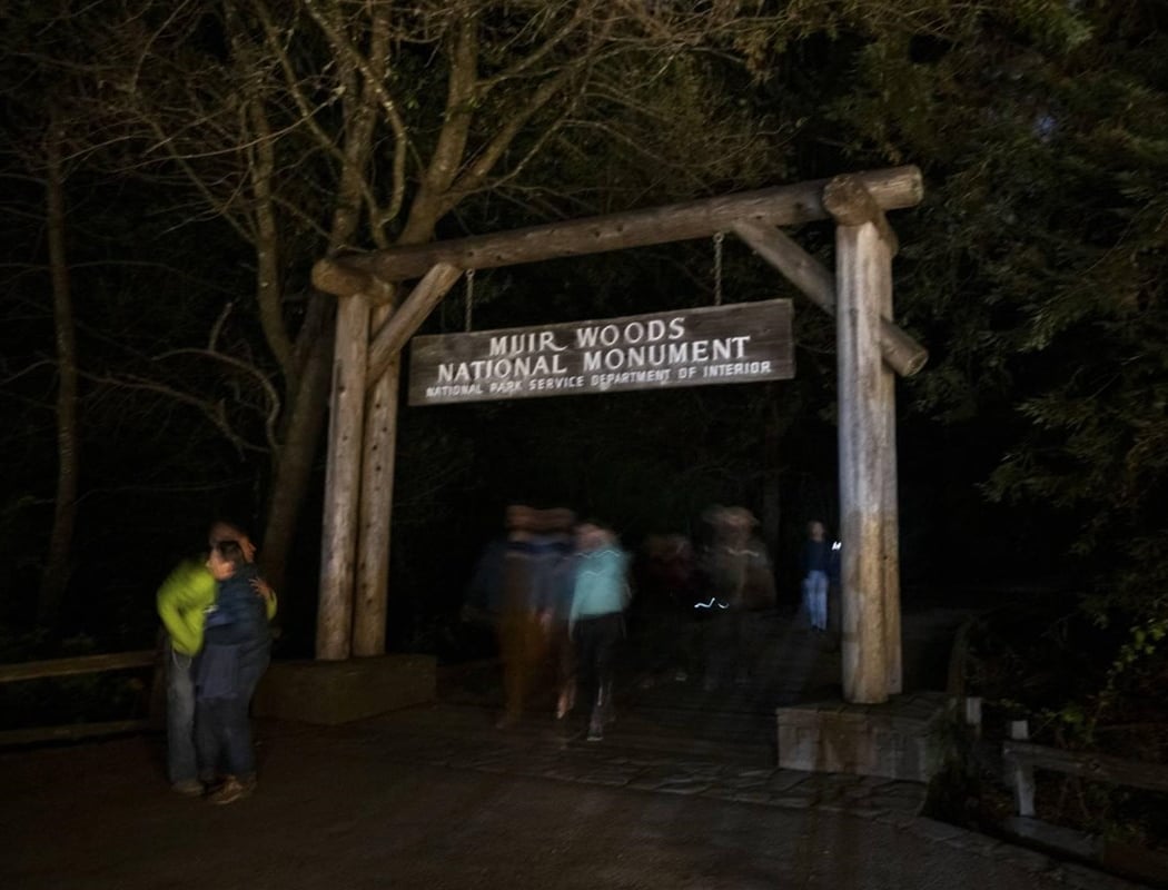 Muir Woods Night Tour