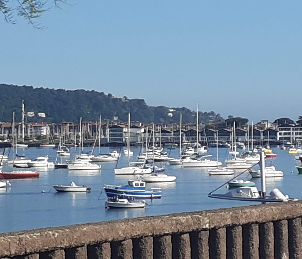 Kaneta Portua 2