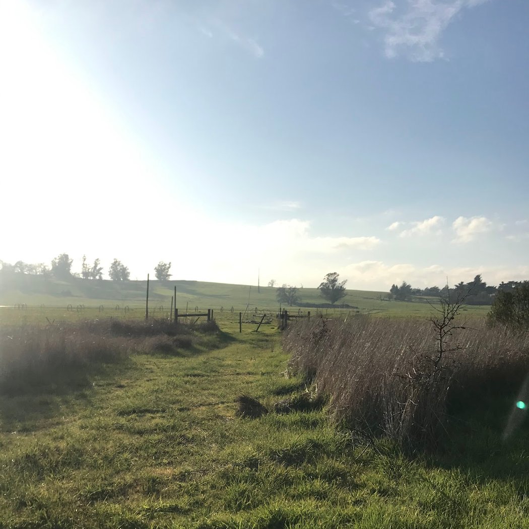 Southern Laguna Discovery Trail 3