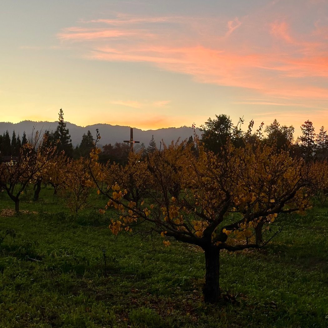 Heritage Orchard and Saratoga Civic Center Event 2