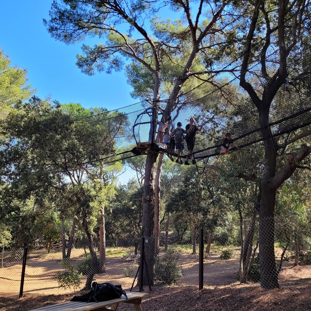 La Foret des 4 Mondes 3