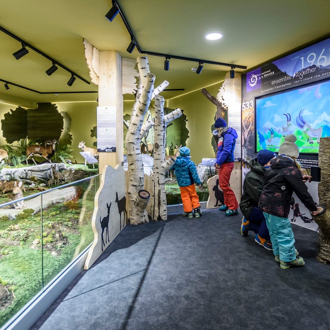 Le muséum des animaux de montagne 2