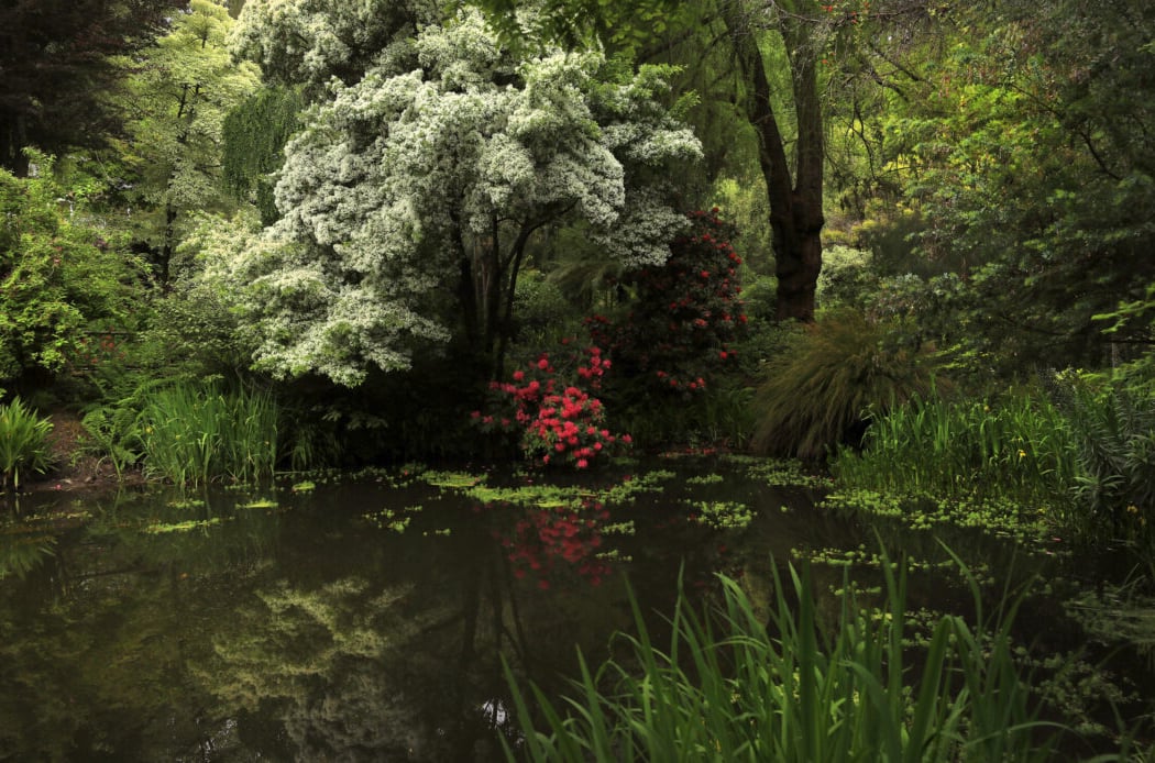 Western Hills Garden 1
