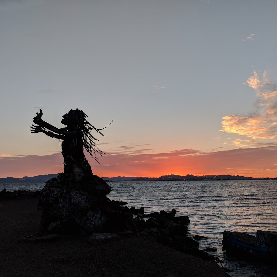 Albany State Marine Reserve 1