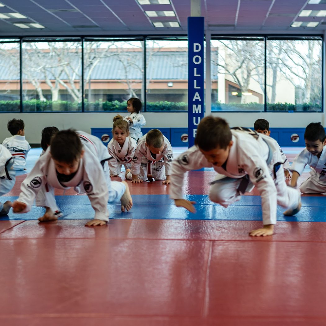 Guerrilla Jiu Jitsu 1