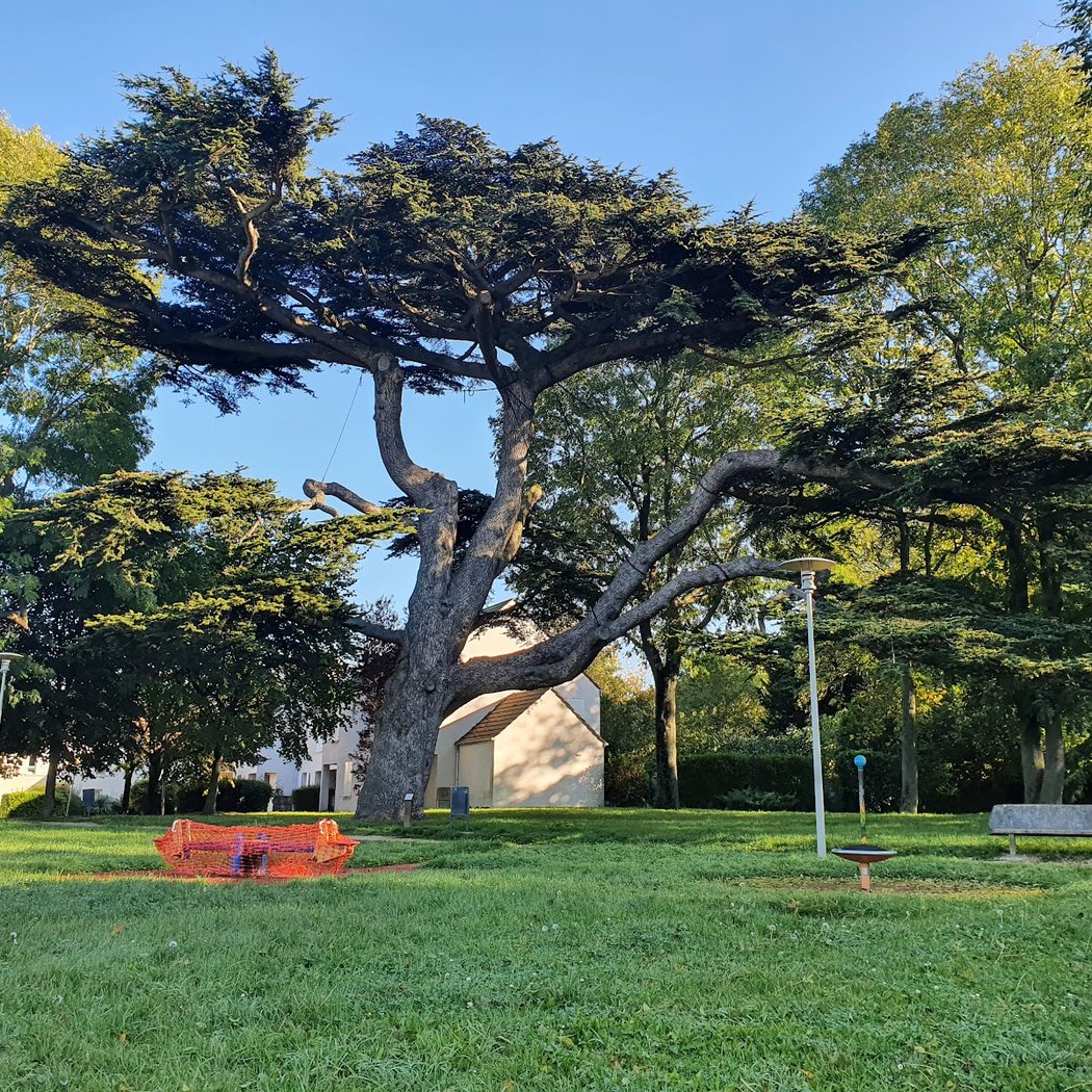 Parc du Cèdre 2