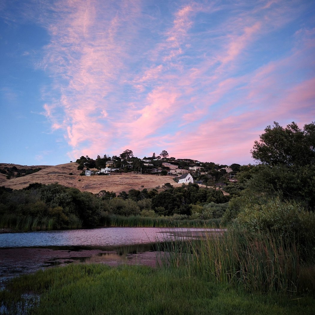 Tiburon Lagoon 1