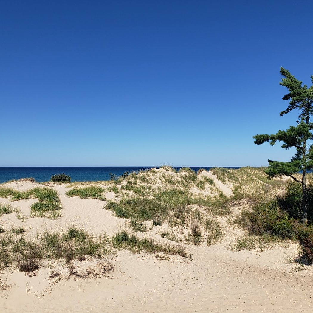 Nordhouse Dunes Wilderness Area 2