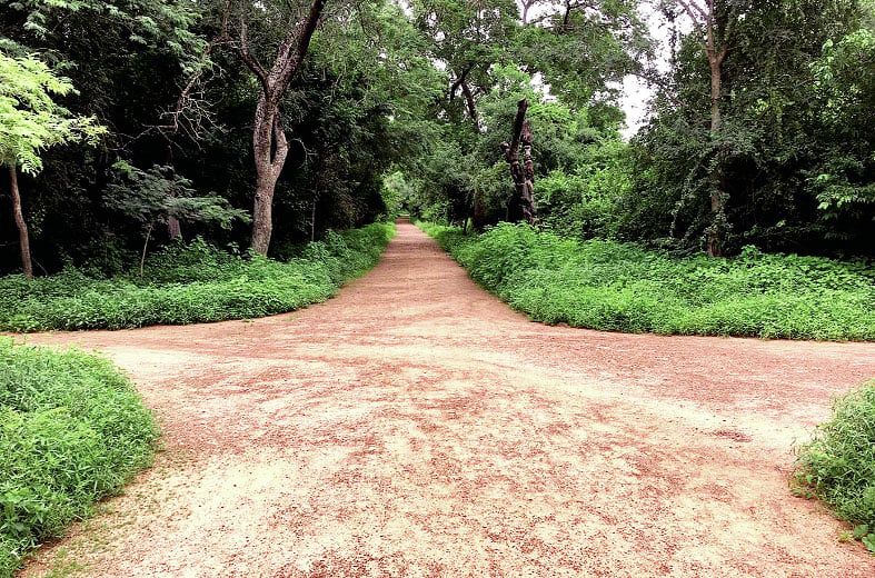 Bangr Weogo Park 3