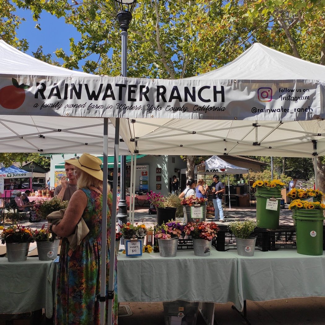 Farmers Market 2