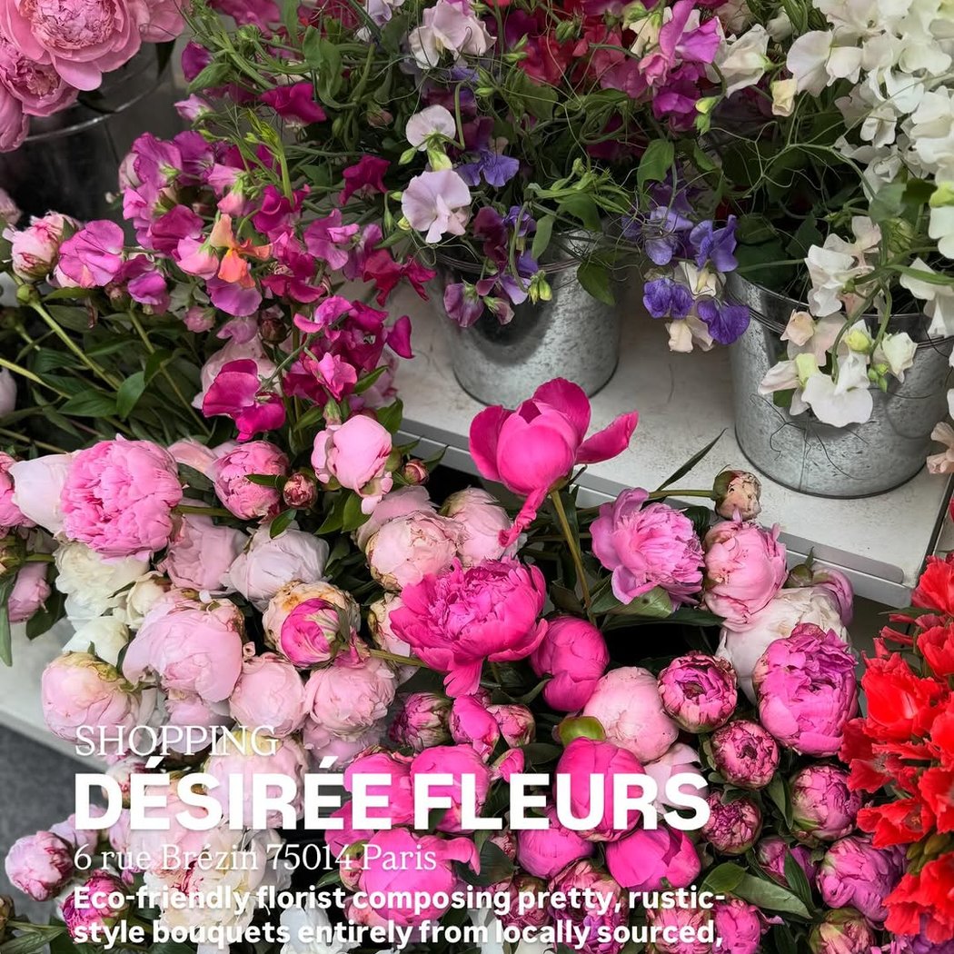 Désirée Fleurs 1
