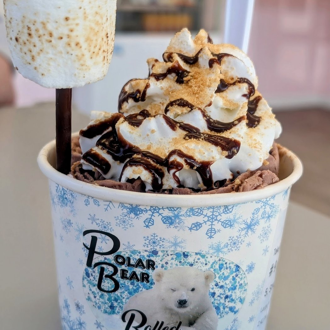 Polar Bear Rolled Ice Cream 3