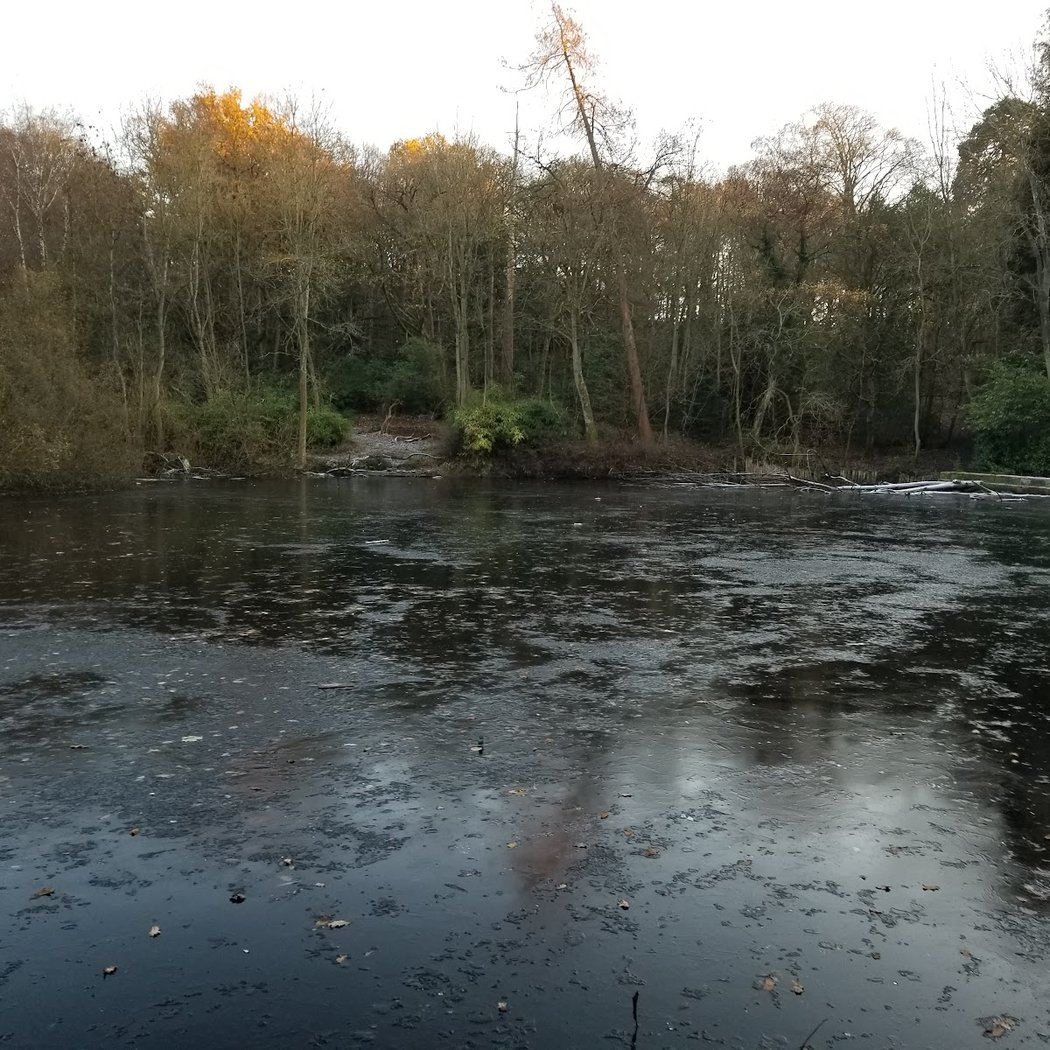 Dollis Valley Greenwalk 2