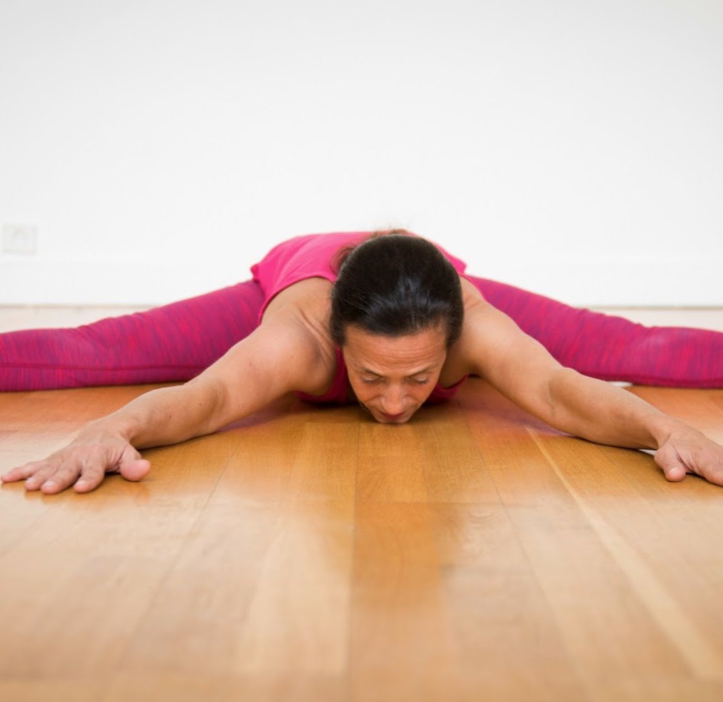Yoga Iyengar Workshops 1