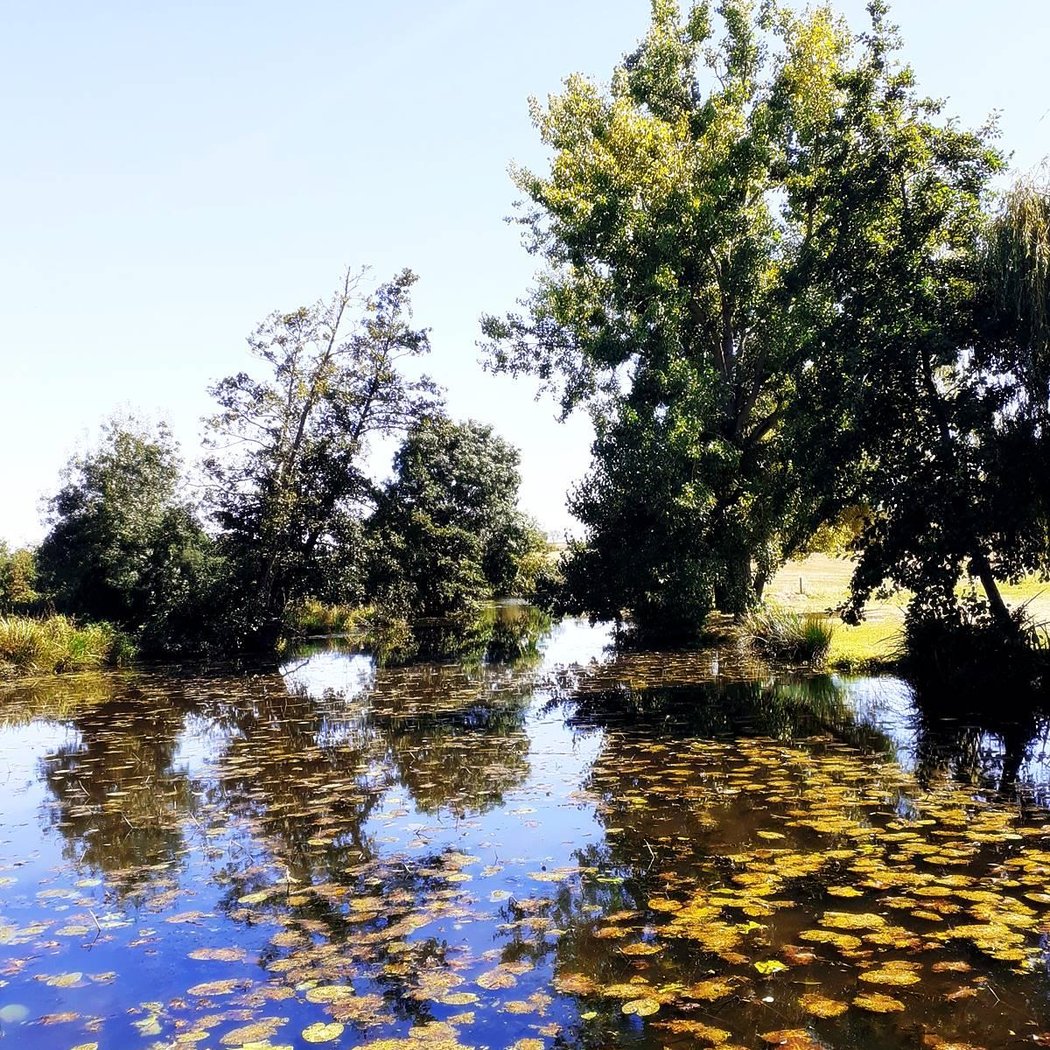 Le Moulin du Pont Godalin 3