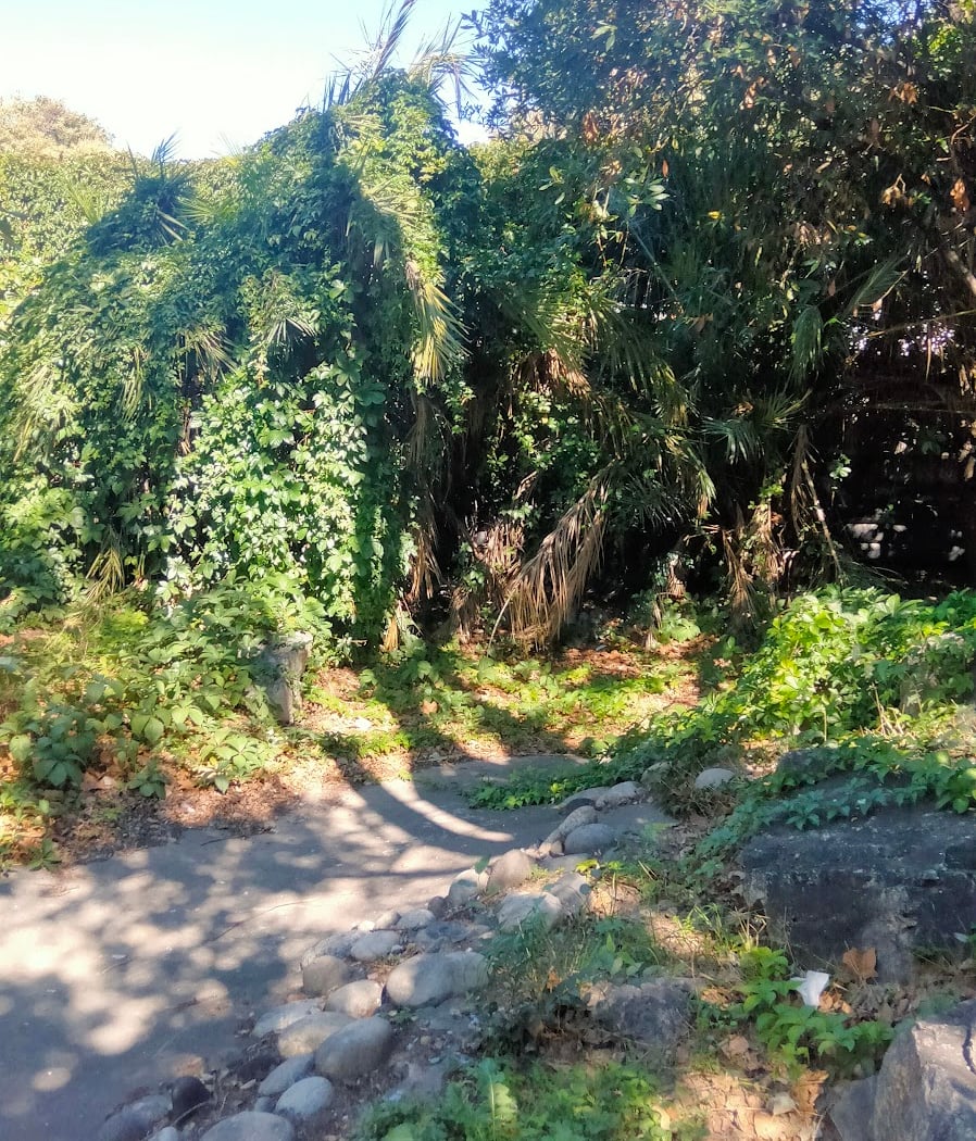 Gerald Neveu Garden 1