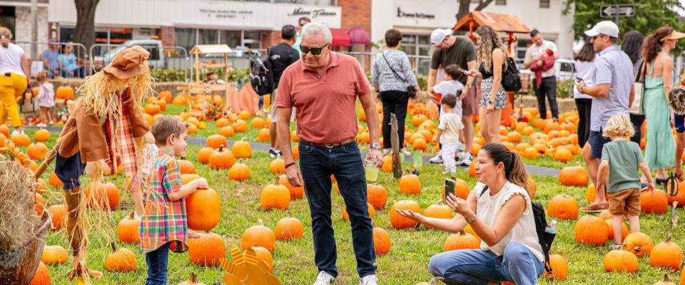 Coral Gables Pumpkin Patch 1
