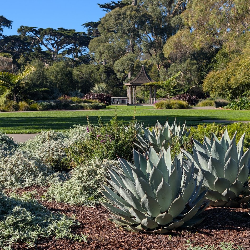 Celebration Garden 1
