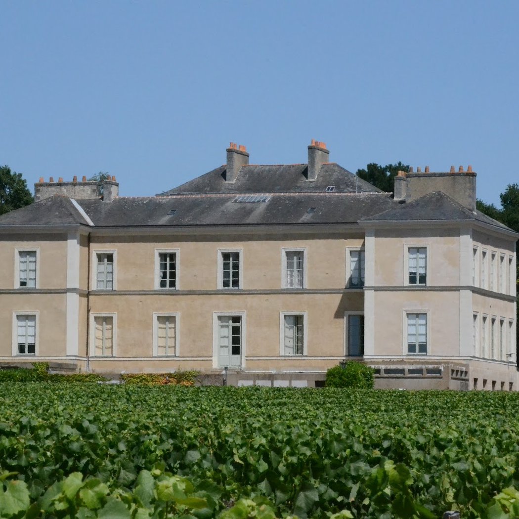 Château du Cléray - Sauvion 1