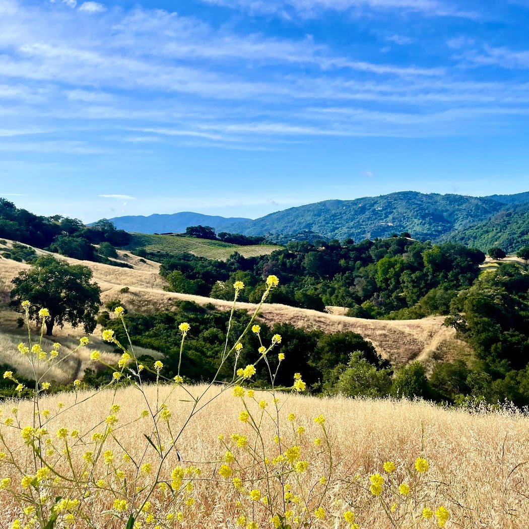 San Tomas Aquino Creek Trail 3