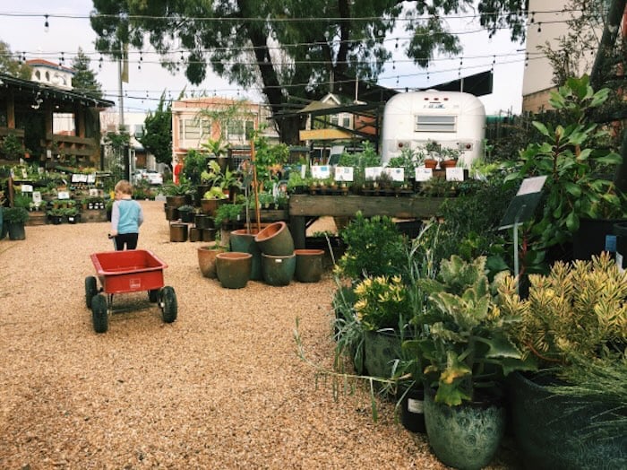 Flowerland Nursery 2