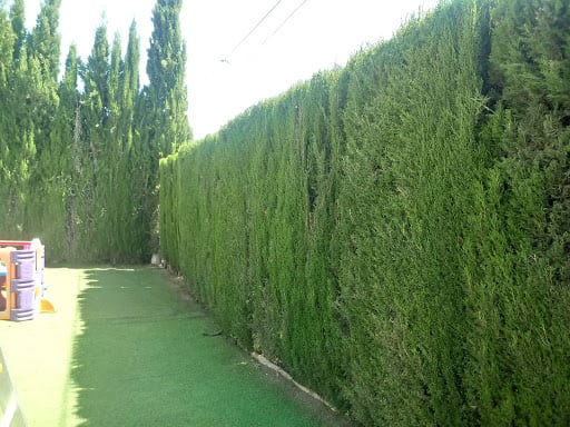 JARDINDAY | tienda online de jardinería y suelos de caucho 2