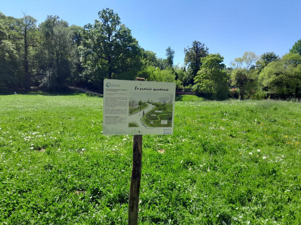 Parc forestier de la Mare Adam 2