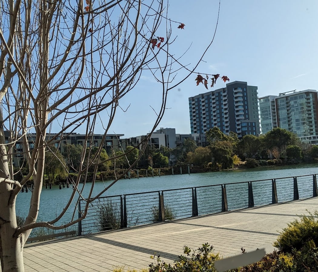Mission Bay: Hidden Waters Tour 2