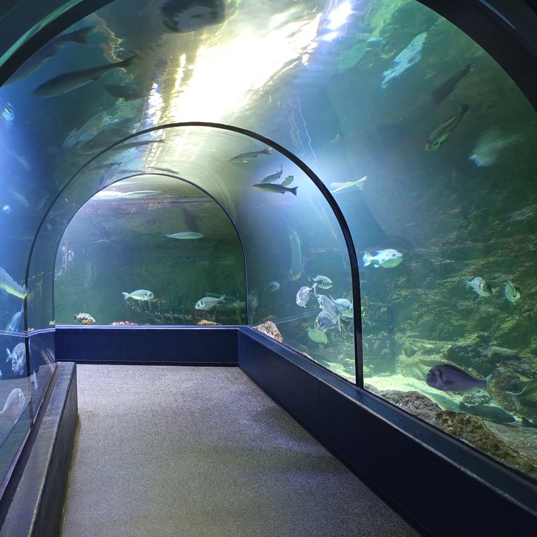 L’océarium du Croisic 2